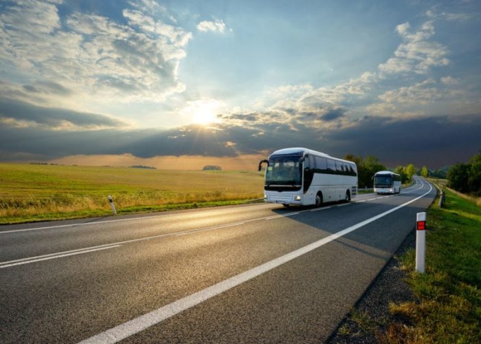 Reasons to Consider Bus Tours