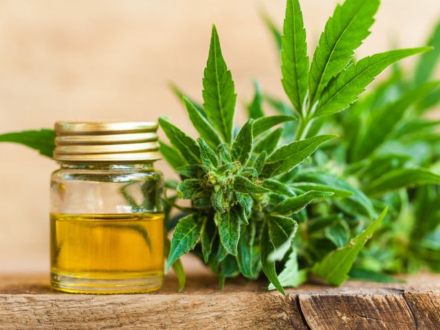 Questions About CBD Oil